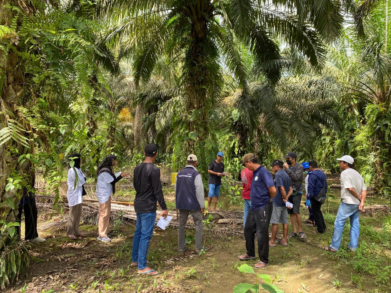 HARA team and farmers mapping land in an oil palm plantation